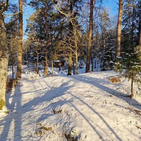 Det Gamle Meieriet * Vidnes