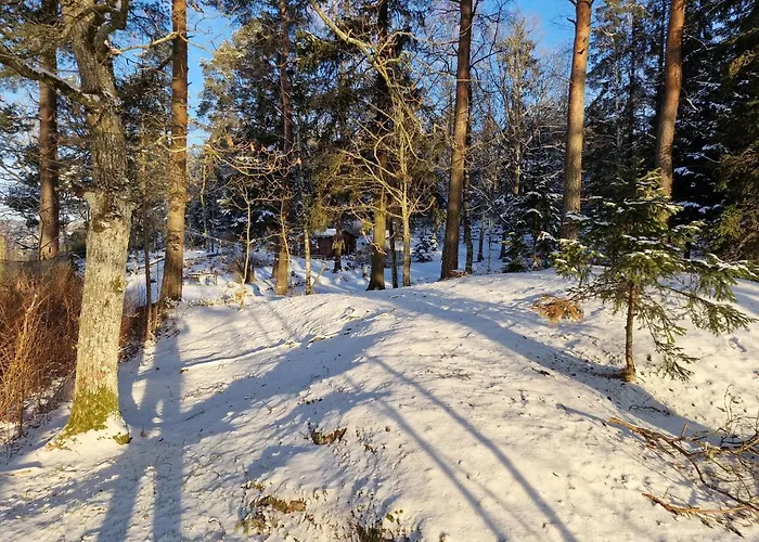 Det Gamle Meieriet * Vidnes